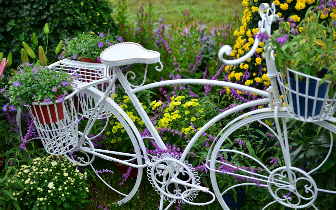 grow your own garden in the city