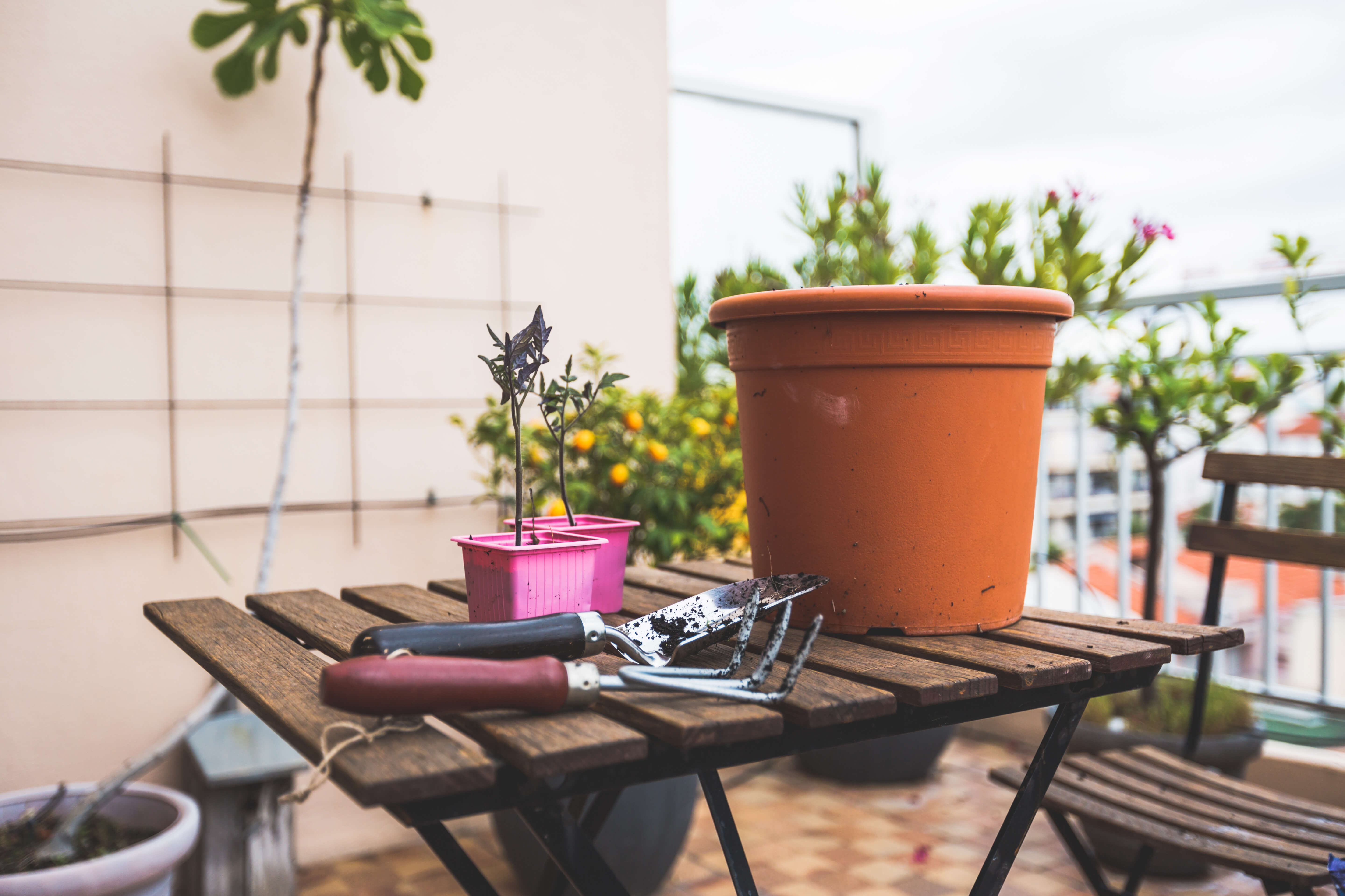 Grow your own garden in the city - Tools