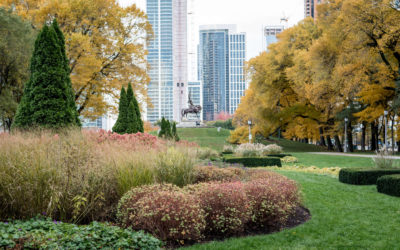 Hello Fall! 19 Great Ways to Celebrate Autumn in the South Loop!