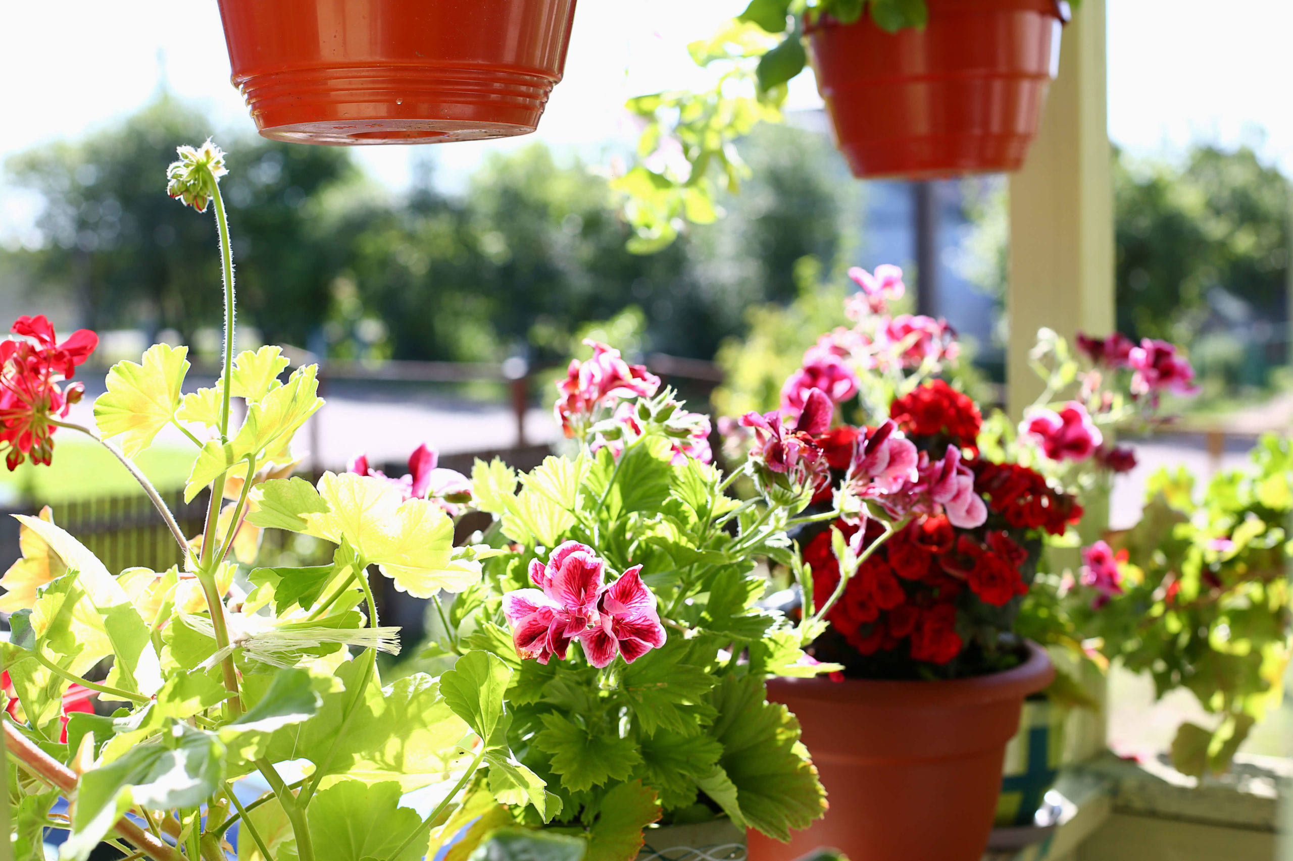 Interior Design & Home Renovation - bring outside in Interior Design & Home Renovation - bring outside in