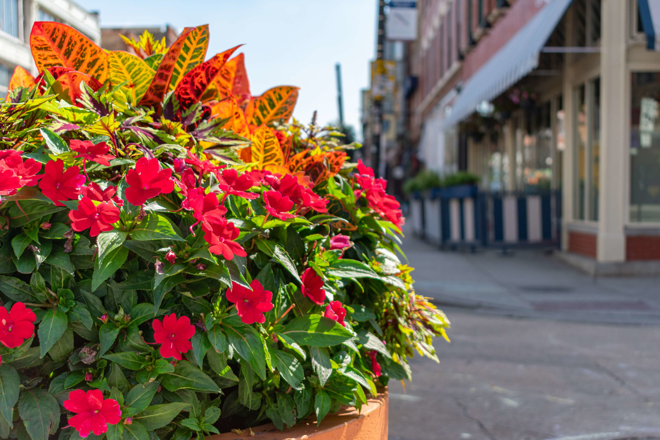 Wicker Park - 5 of 5 Chicago Neighbohoods Spotlight