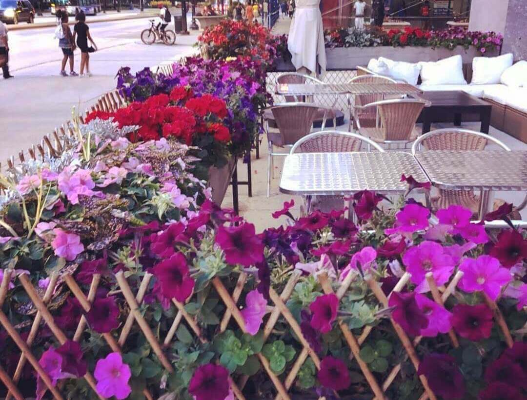 Niu B Japanese - south loop