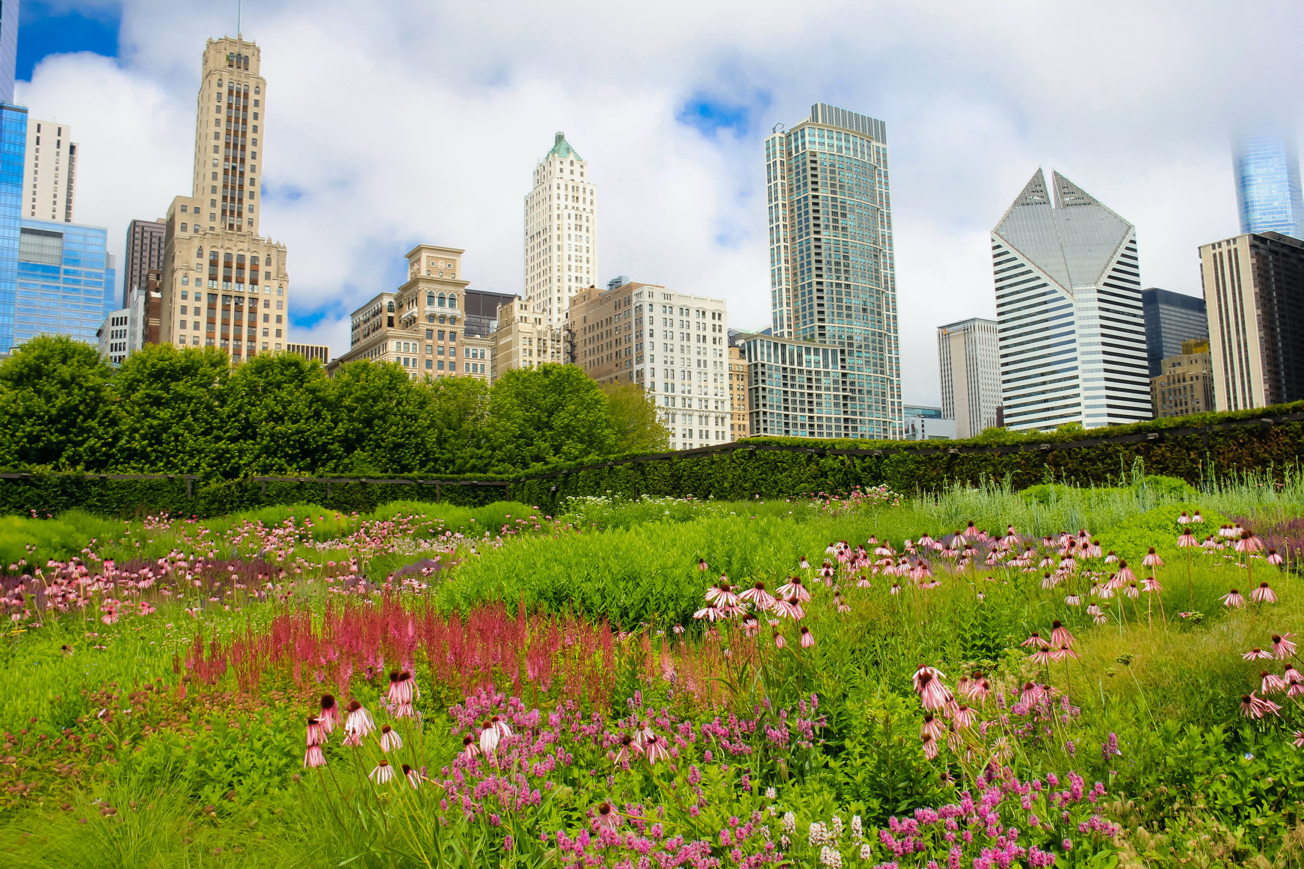 Lurie Garden, Millennium Park, The Loop