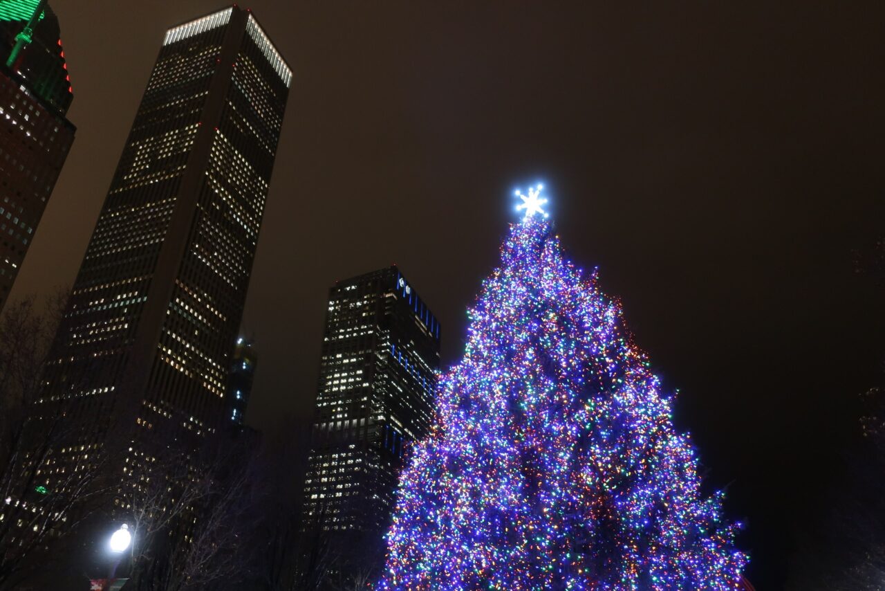 Chicago's MustSee Holiday Light Displays for Homeowners