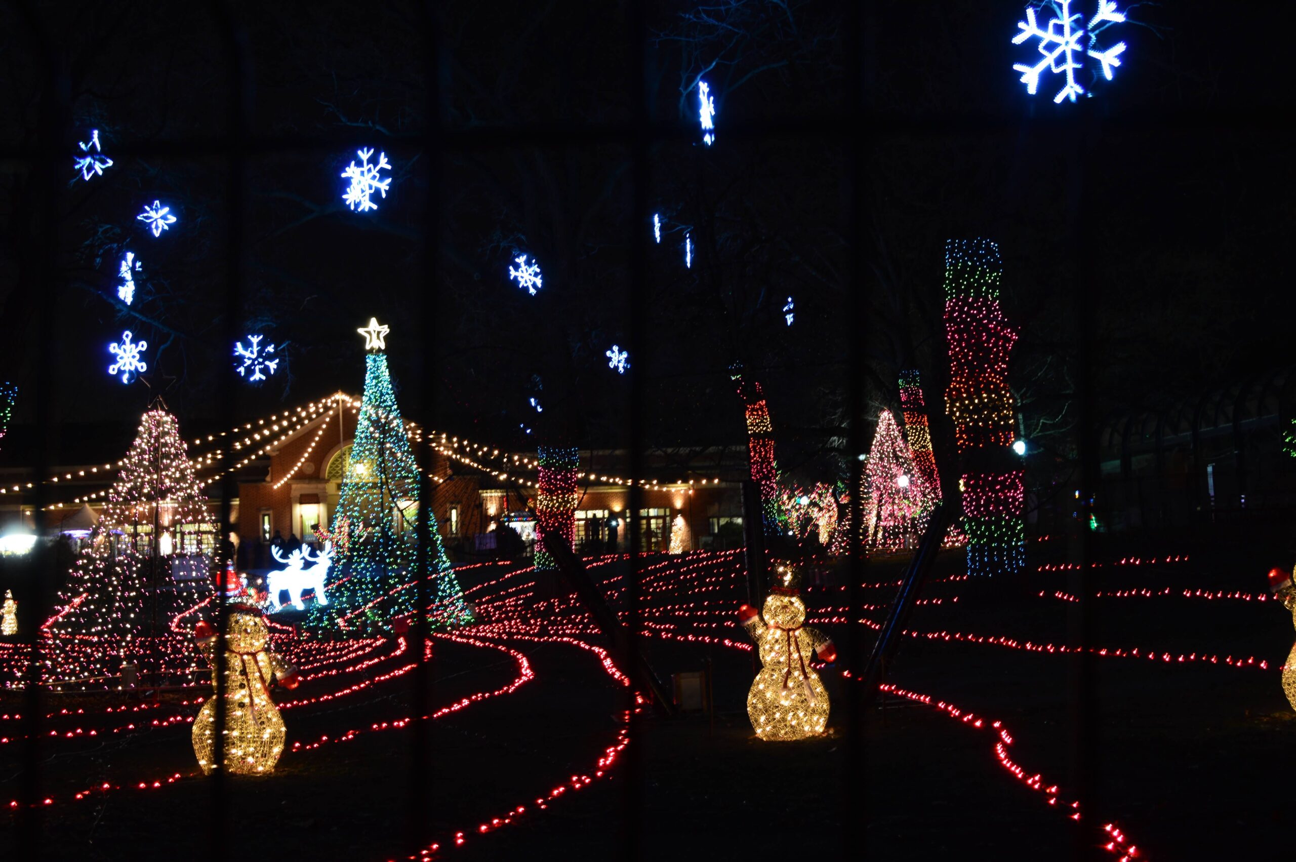 Lincoln Park Zoo Holiday Lights